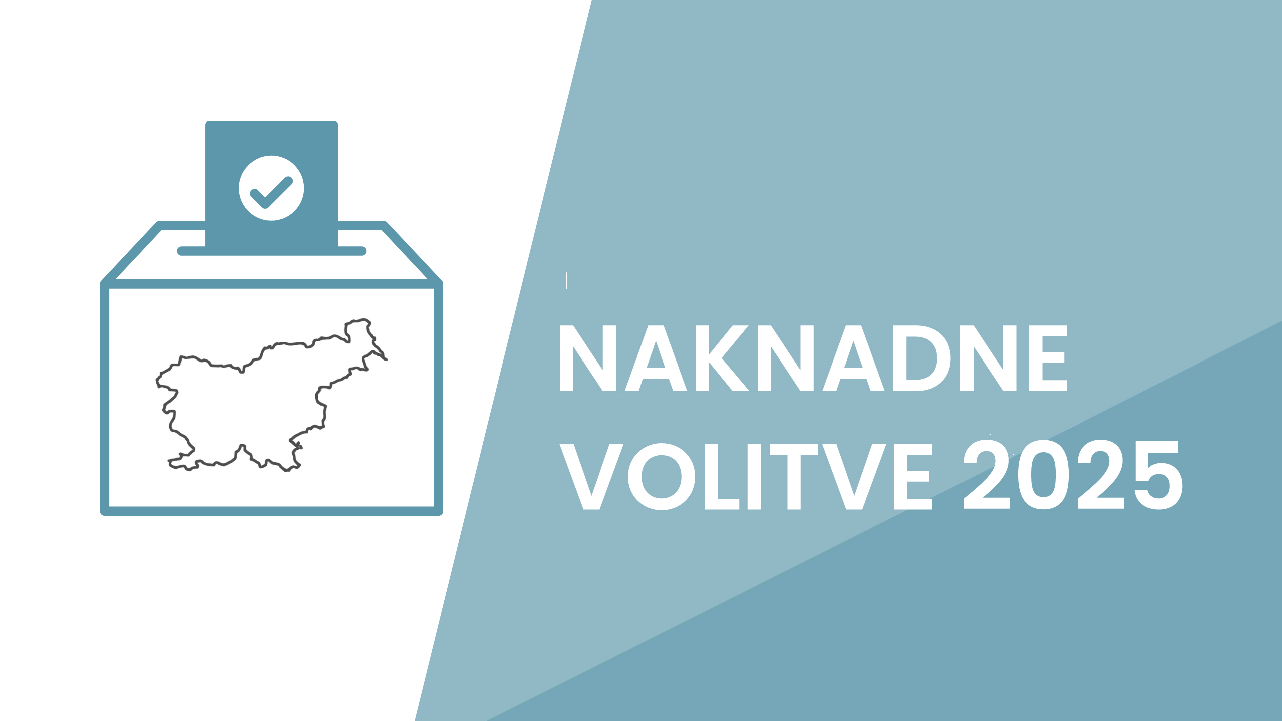 Naknadne volitve 2025